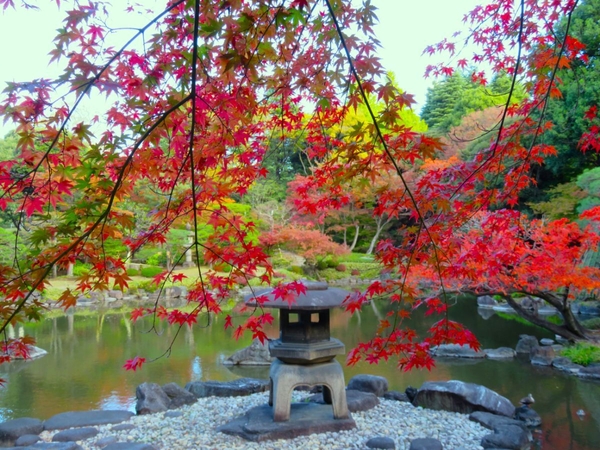 雪見灯籠と紅葉
