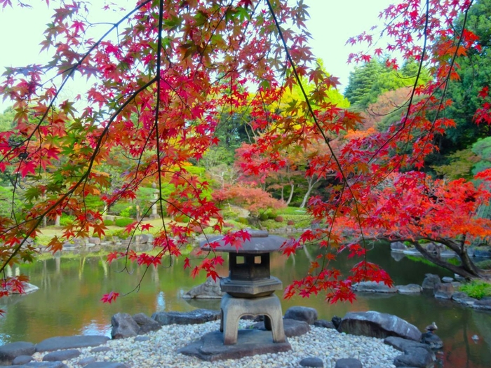 雪見灯籠と紅葉