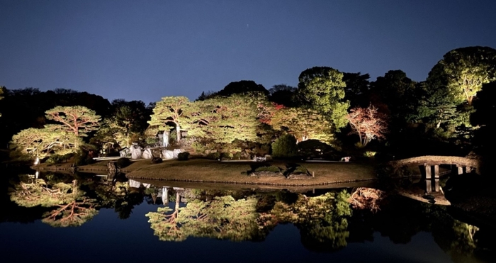 「庭紅葉の六義園」ライトアップ（過去の様子）