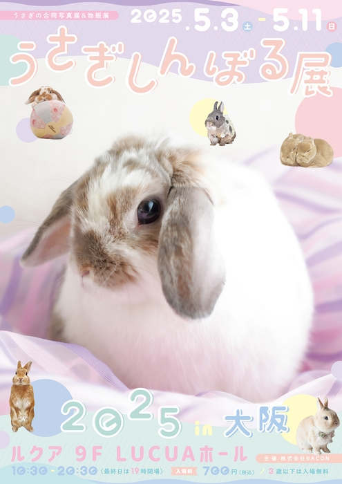 うさぎしんぼる展 キービジュアル