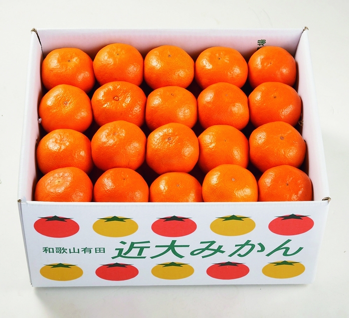 近大みかん