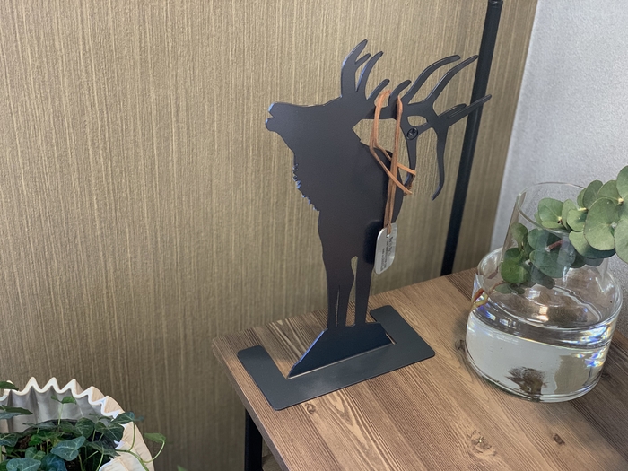 ELK レディースセット