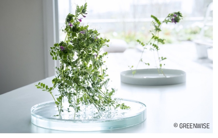 STABiO(TM) SLOW VASE TECH