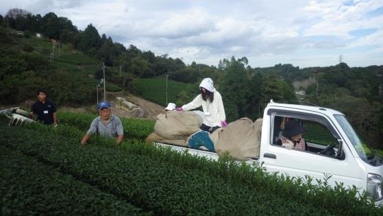 奈良市による過去のイベントの様子