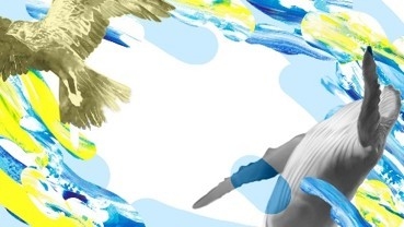 写真フレーム(イメージ)】