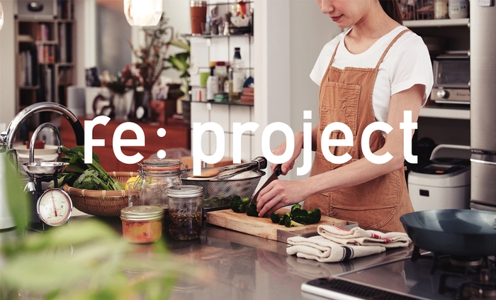 Fe:project