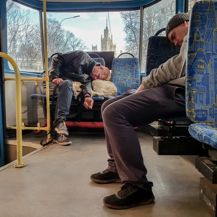 ダーシャ・カレトニコワ(ロシア、1996) 《Quarantine_E53(検疫)》2020 (C)Dasha Karetnikova