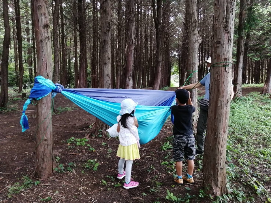 森の中で風や音を感じます