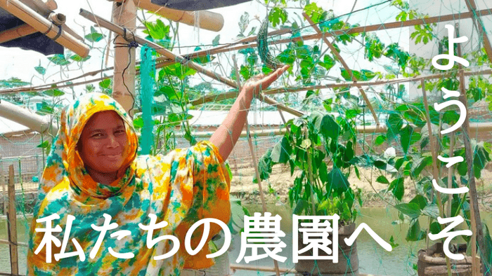家庭菜園の前で