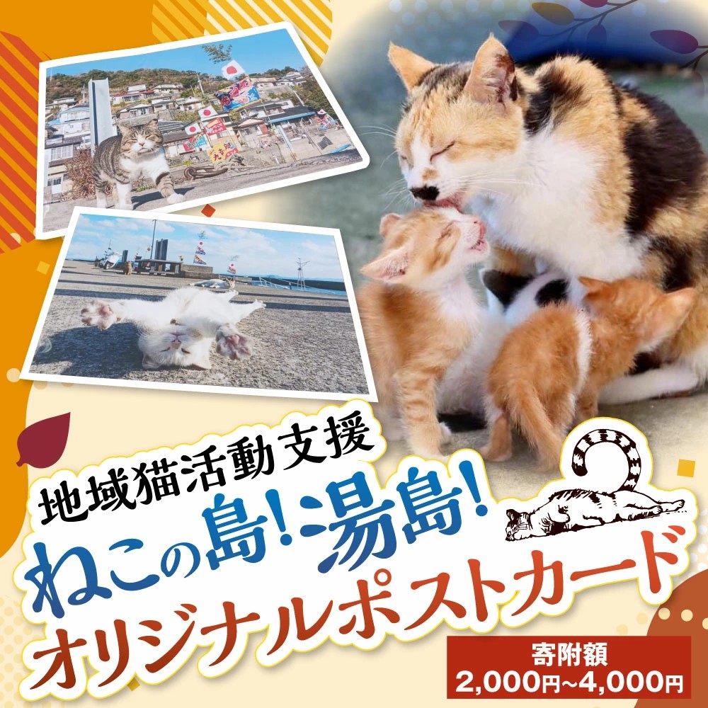 【熊本県上天草市ふるさと納税】地域猫活動支援「ねこの島！湯島！オリジナルポストカード」が受付中