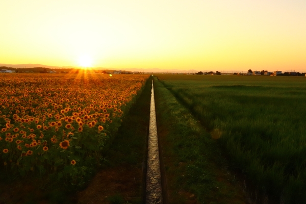 ※８枚組写真のうちの１枚