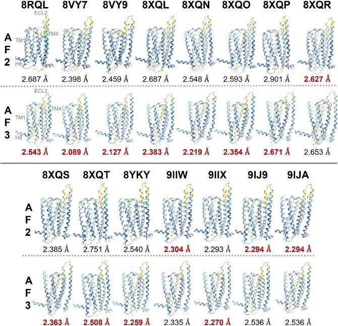 T2R14 の実験構造と、AlphaFold2(AF2)およびAlphaFold3(AF3)による予測構造の比較(発表論文Fig.4 から)