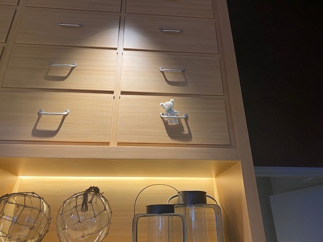 こんな高いところにくまちゃん!!