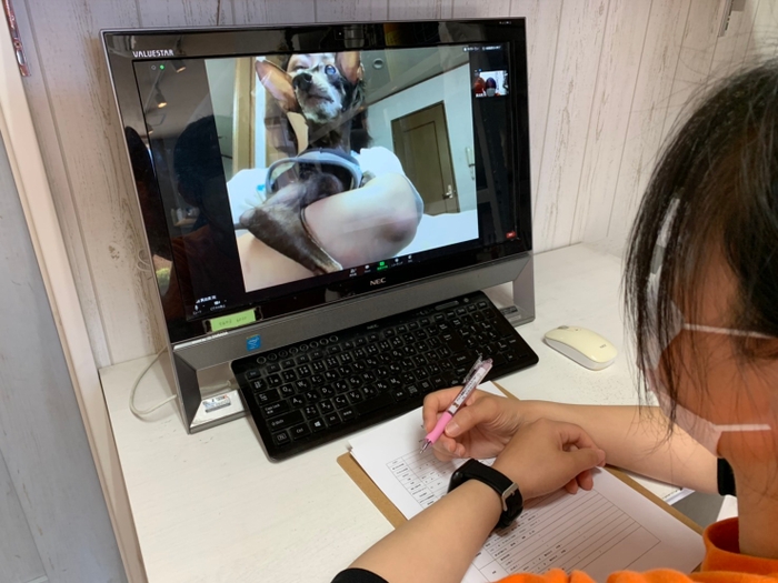 イメージ画像2 歯磨きチェック