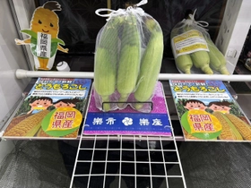 「野菜がクレーンゲームの景品に！？九州県内の楽市楽座に旬のとうもろこしが登場」