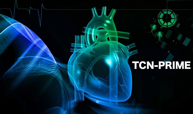 心臓疾患に対するカテーテルを開発するTCNプライム社が 資金調達に成功