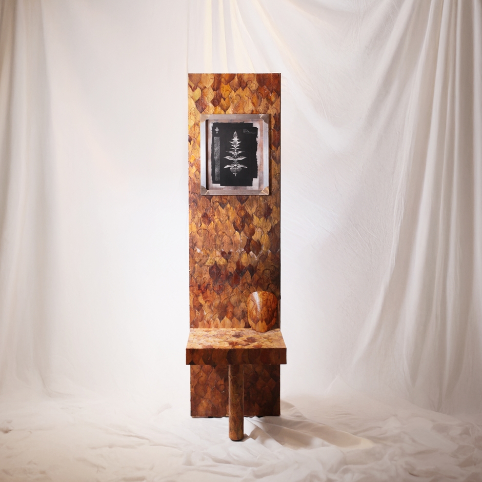 BioVide_Becoming Object_Chair