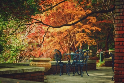 布引の紅葉がある風景(2)