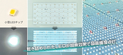 300個の高効率LEDをシート上に均等配置