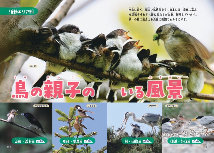 〈活動エリア別〉鳥の親子のいる風景