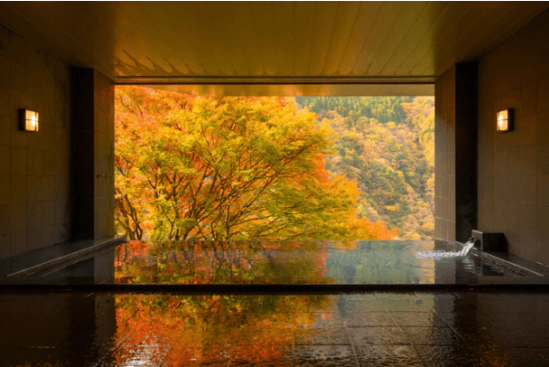 【和の宿 ホテル祖谷温泉】 徳島県 祖谷温泉