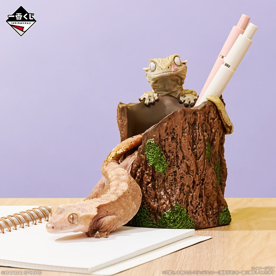 D賞:クレステッドゲッコーと止まり木小物入れ(イメージ2)