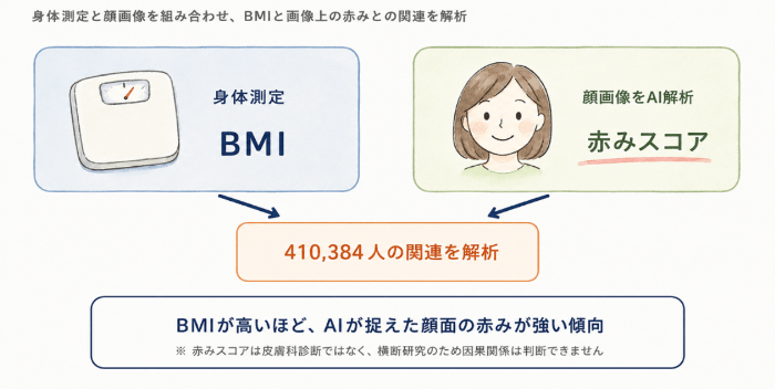 研究の全体像