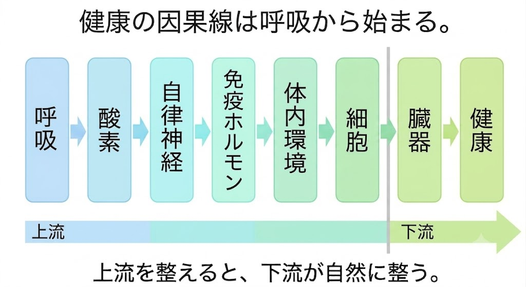 呼吸は変えられる──健康問題解決には、睡眠時の"呼吸の質"を高めること