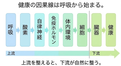 呼吸は変えられる──健康問題解決には、睡眠時の"呼吸の質"を高めること