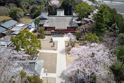 境内全景