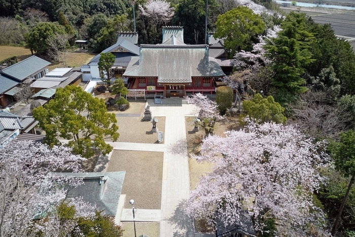 境内全景
