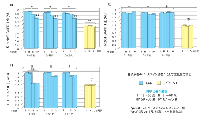 (図2)各年齢群におけるFPPによる核内Nrf2、NQO1、HO-1遺伝子発現量の変化