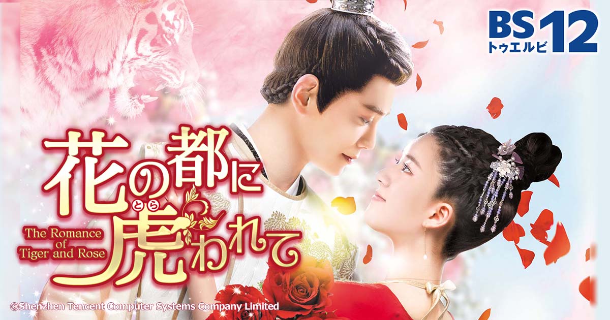 希少になる チャオ・ルースー×ディン・ユーシー主演！笑って泣ける、胸 洋画・外国映画