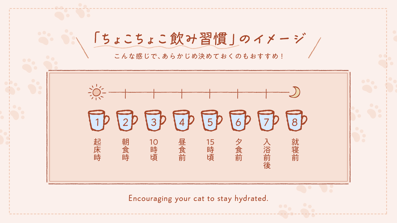 「ちょこちょこ飲み習慣」のイメージ