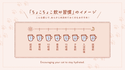 「ちょこちょこ飲み習慣」のイメージ