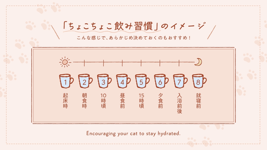 「ちょこちょこ飲み習慣」のイメージ