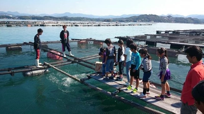 10/18（日）養殖講座開講　地元小学生たちが養殖現場を実体験！　近畿大学水産研究所白浜実験場にて