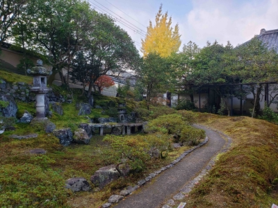 霊鑑寺秋の庭園