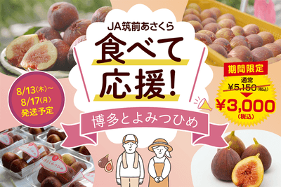 【食べて応援!特別価格!8/13~8/17発送予定】いちじく『博多とよみつひめ』約1.2㎏