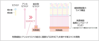 肌のバリア機能に有効な『ムラサキバレンギク新エキス』を開発 　日本農芸化学会2023年度大会にて発表