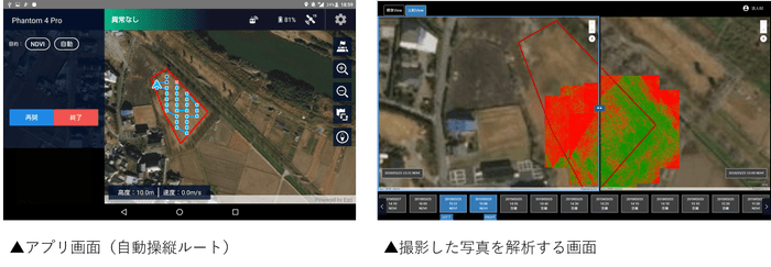 アプリ画面/解析画面