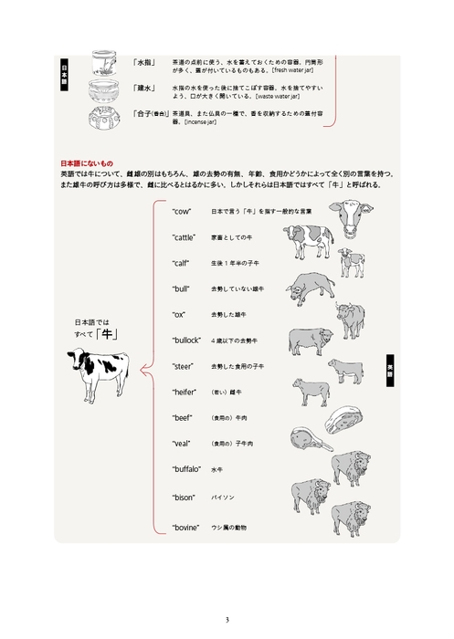 第一弾 コンテンツ例2