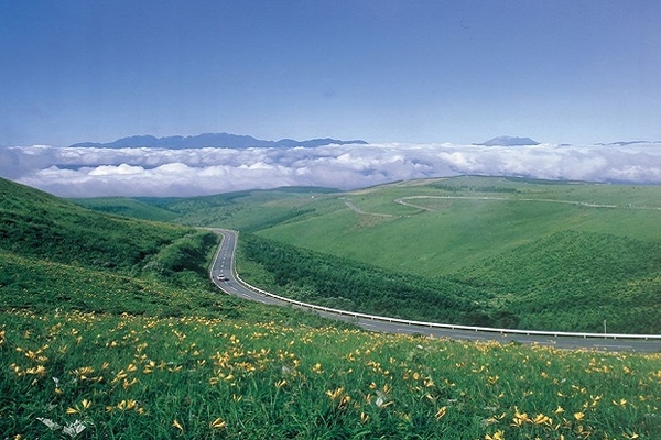 ビーナスライン