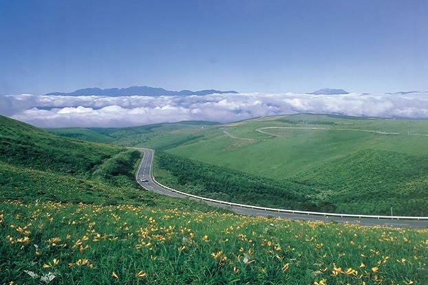ビーナスライン