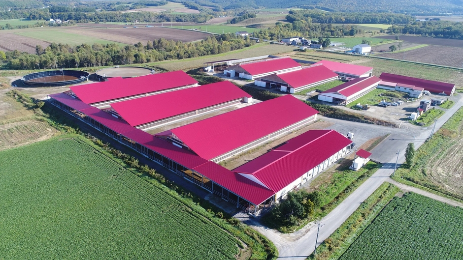 藤井牧場 麓郷ファーム施設全体