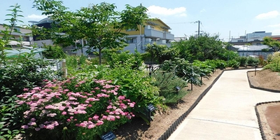 近畿大学薬学部 薬用植物園