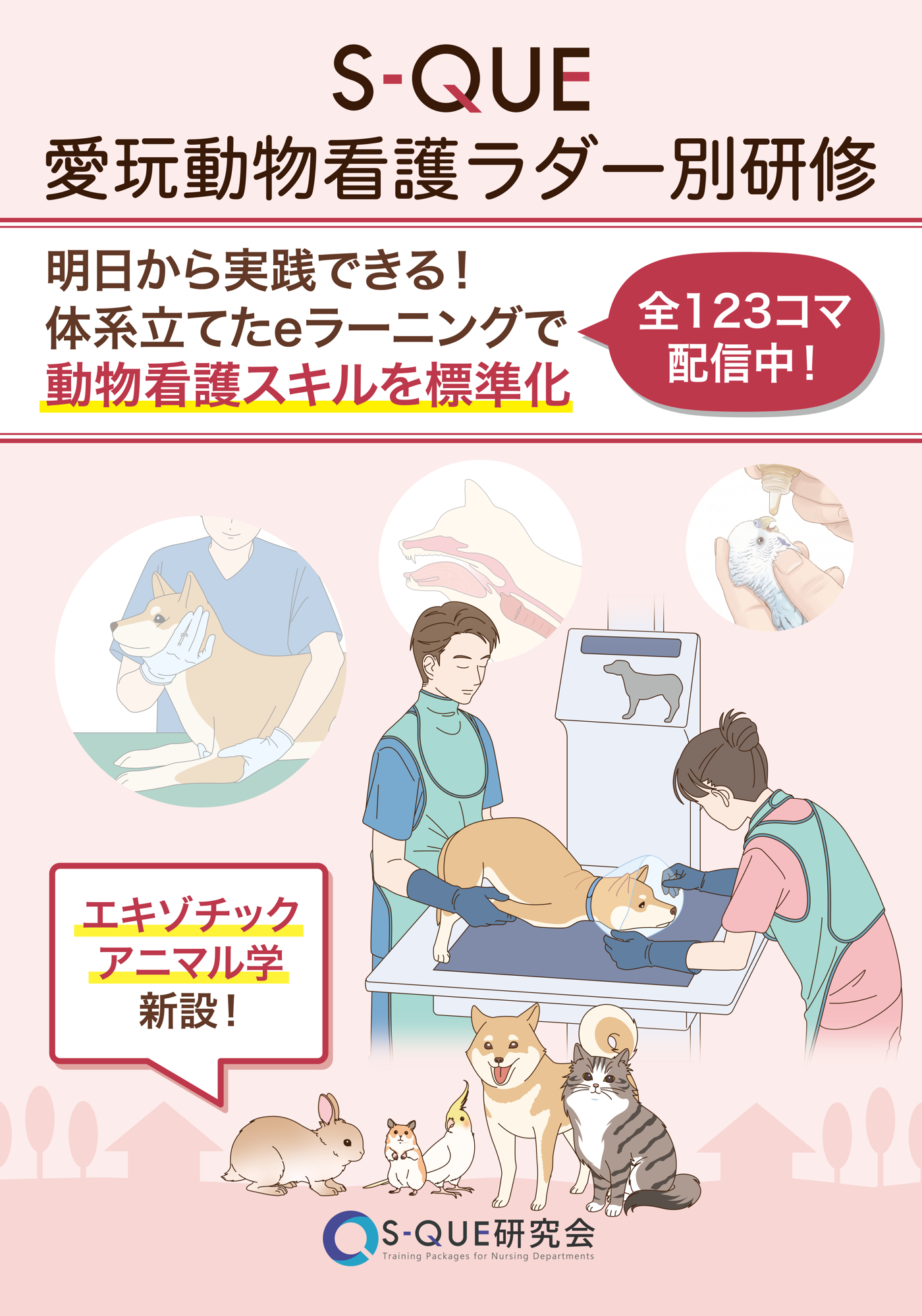 日本臨床獣医学フォーラムに参加いたします｜［ブース出展］愛玩動物看護ラダー別研修