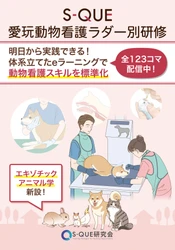 日本臨床獣医学フォーラムに参加いたします｜［ブース出展］愛玩動物看護ラダー別研修
