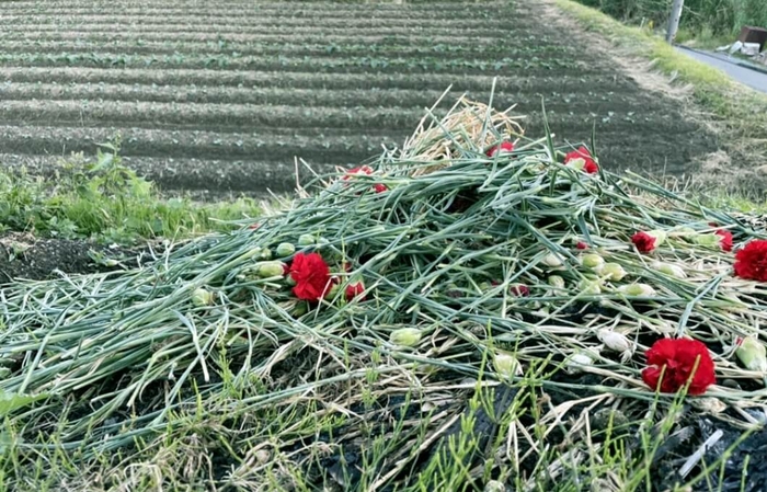 フラワーロス・ゼロを目指すお花の定期便 “FLOVER”(フラバー)お花のサブスクサイトより引用