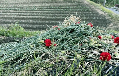 フラワーロス・ゼロを目指すお花の定期便 “FLOVER”(フラバー)お花のサブスクサイトより引用